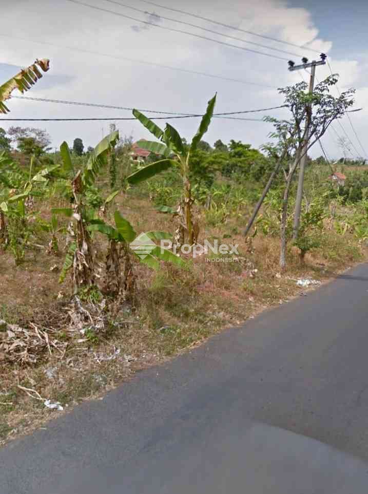 Tanah Siap Bangun Raya Ledug Pasuruan
